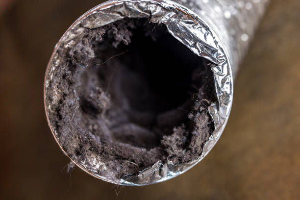 Best HVAC System Cleaning  in Farmington, MN