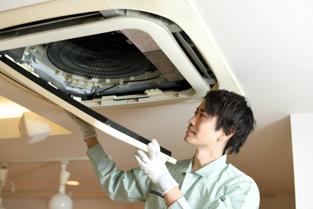 Best Duct Cleaning Specialists  in Farmington, MN