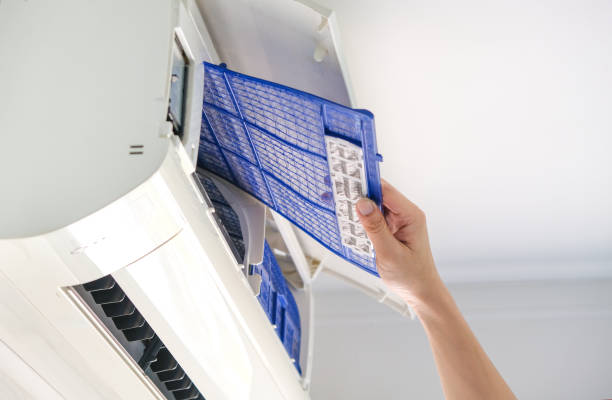 Best Air Vent Cleaning Services  in Farmington, MN