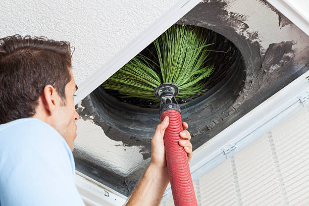 Best Air Duct Cleaning Near Me  in Farmington, MN