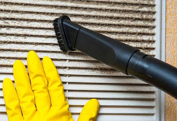 Best Professional Duct Cleaning Services  in Farmington, MN