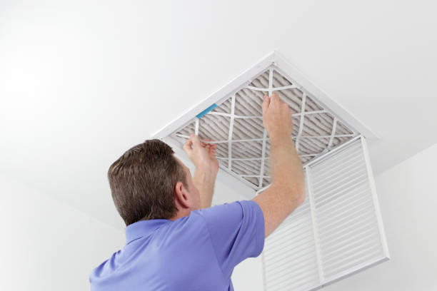 Best Affordable Duct Cleaning Services  in Farmington, MN